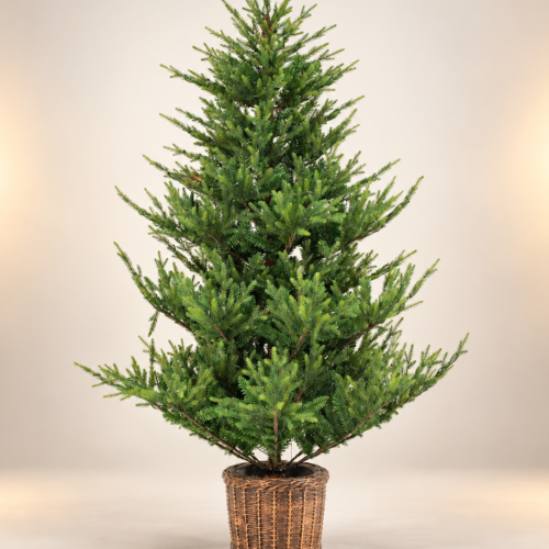 KMET Spruce Tree with PVC and PE Tips in Elegant Decorated Pot